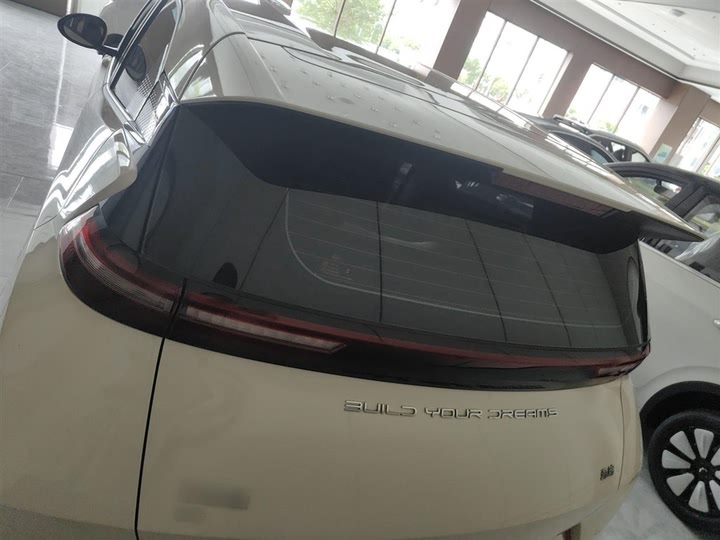 Фото 6 - BYD Seagull