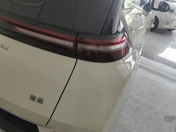 Фото 8 - BYD Seagull