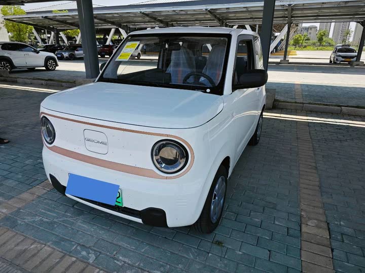 Фото 1 - Geely Galaxy Panda Mini