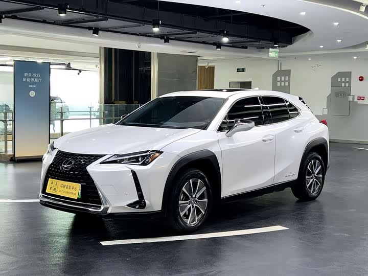 Фото 1 - Lexus UX Hybrid