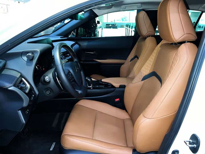 Фото 10 - Lexus UX Hybrid