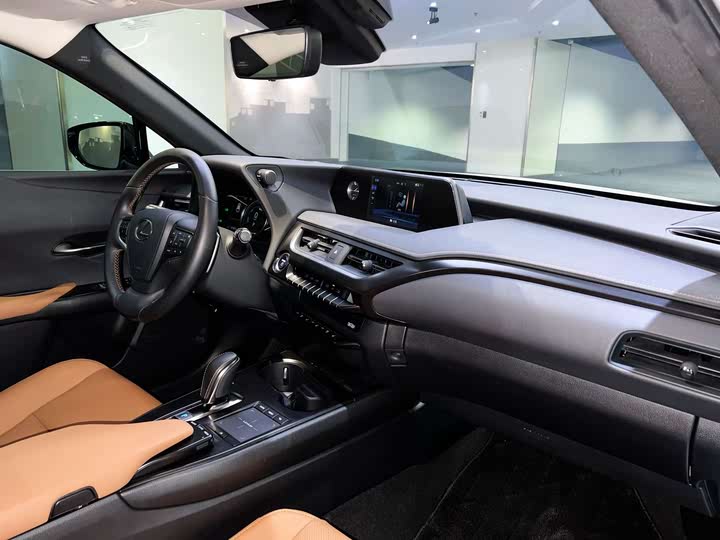 Фото 12 - Lexus UX Hybrid