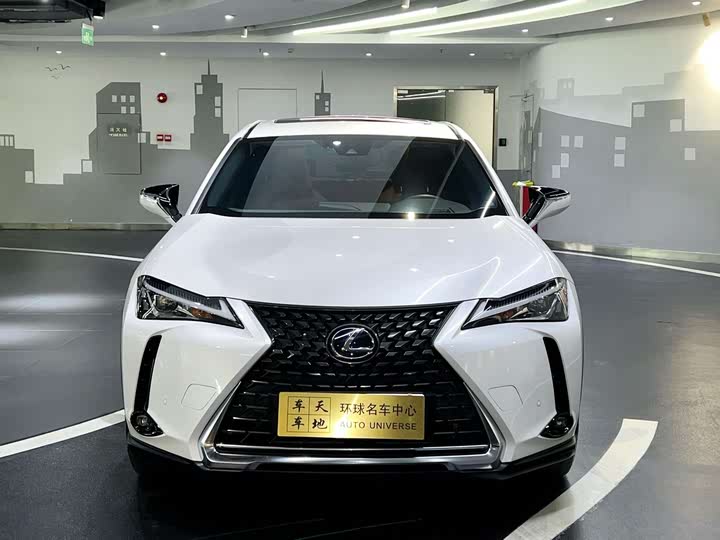 Фото 2 - Lexus UX Hybrid