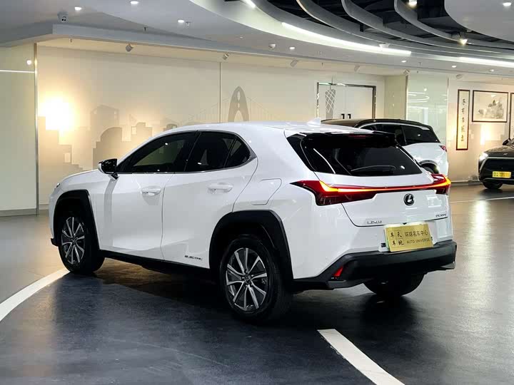 Фото 4 - Lexus UX Hybrid