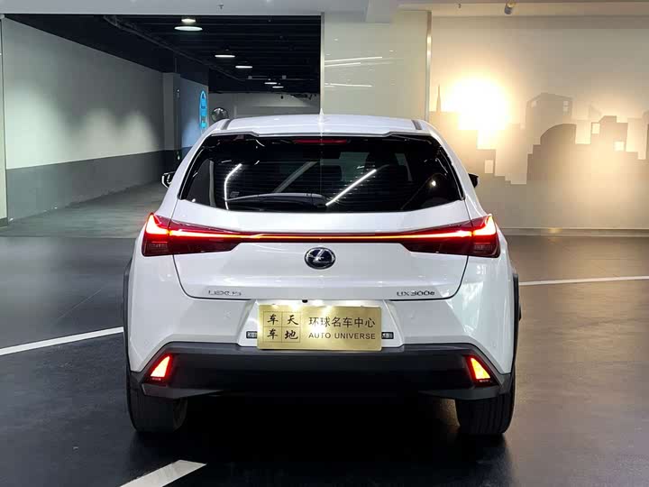 Фото 5 - Lexus UX Hybrid