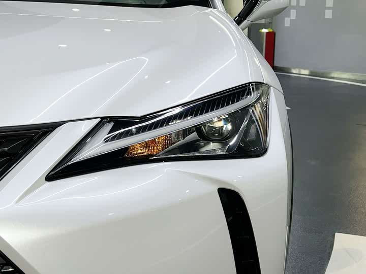 Фото 8 - Lexus UX Hybrid