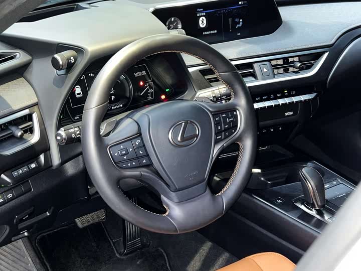 Фото 9 - Lexus UX Hybrid