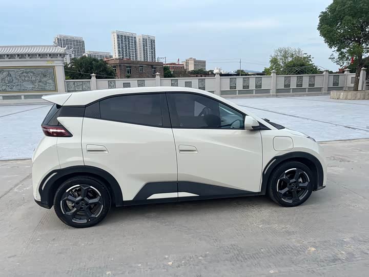 Фото 10 - BYD Seagull