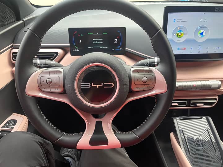 Фото 14 - BYD Seagull