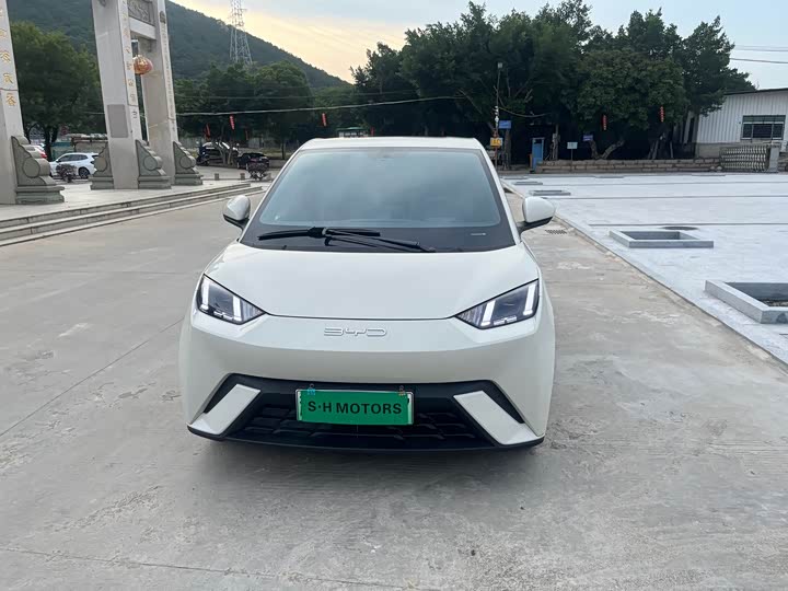 Фото 2 - BYD Seagull