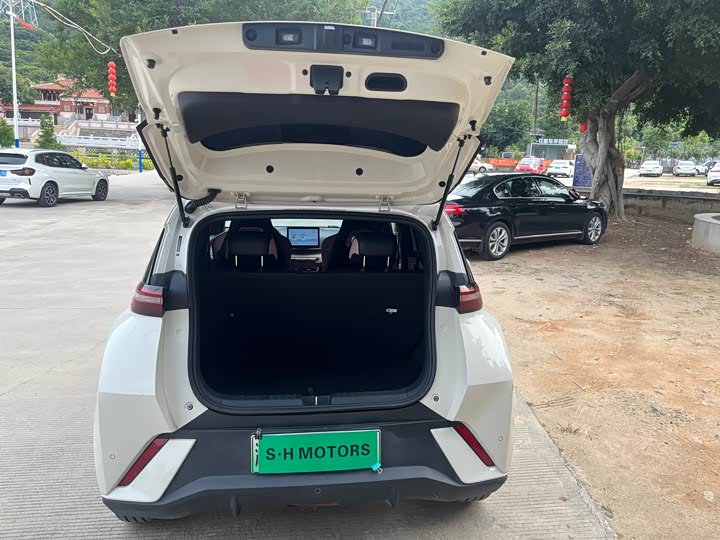 Фото 21 - BYD Seagull