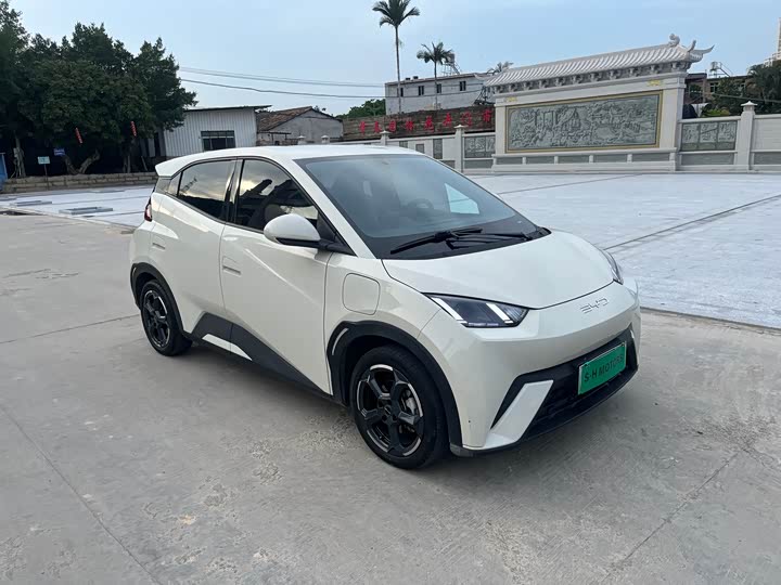 Фото 3 - BYD Seagull