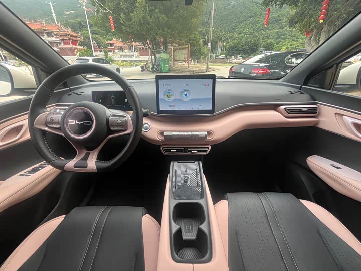 Фото 4 - BYD Seagull