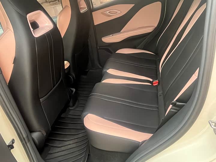 Фото 5 - BYD Seagull