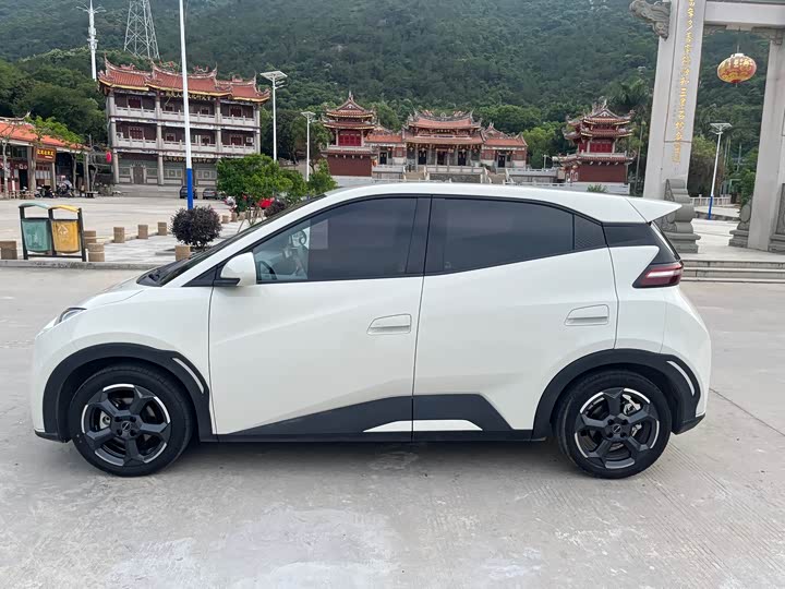 Фото 6 - BYD Seagull