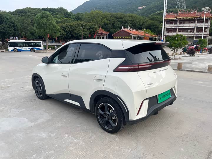 Фото 7 - BYD Seagull