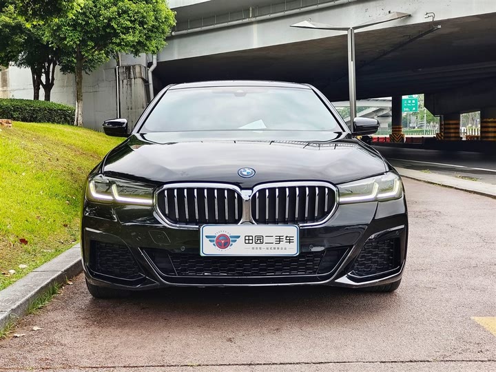 Фото 2 - BMW 5 Series Hybrid