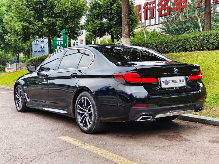 Фото 4 - BMW 5 Series Hybrid