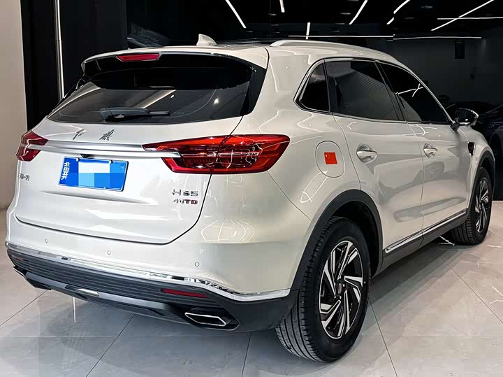 Фото 4 - Hongqi HS5