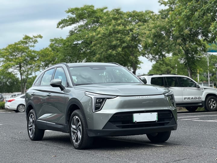 Фото 3 - Haval Ruge