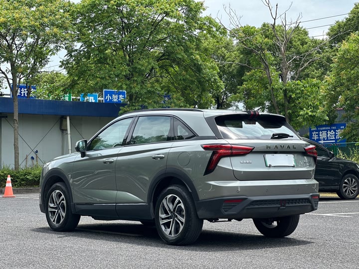 Фото 4 - Haval Ruge