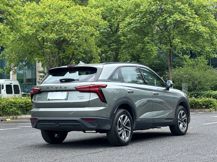 Фото 6 - Haval Ruge