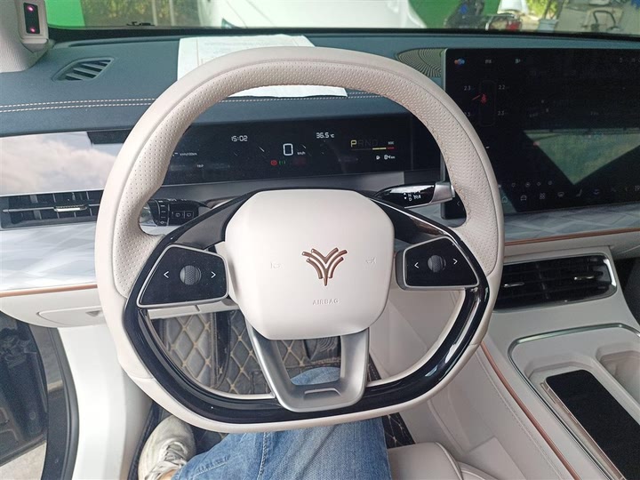 Фото 11 - Hozon L