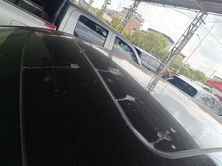 Фото 31 - Hozon L