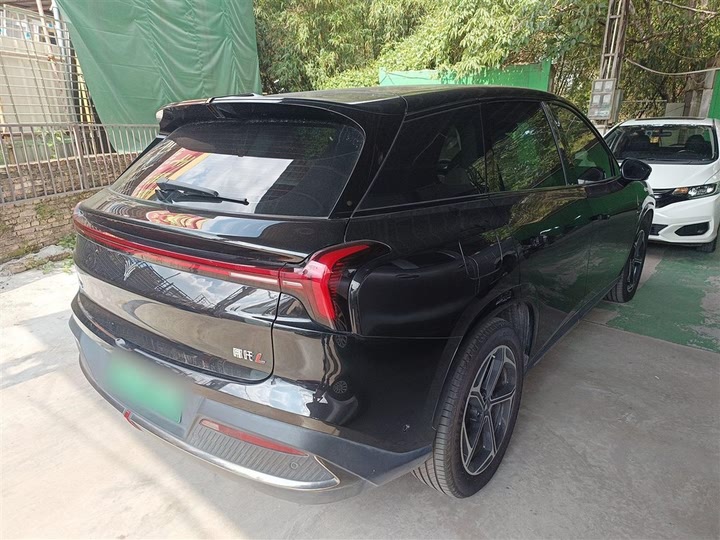 Фото 7 - Hozon L