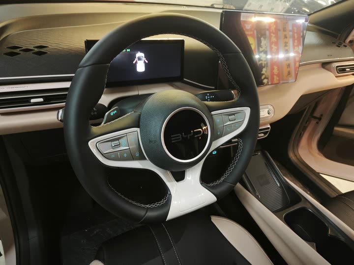 Фото 11 - BYD Seagull