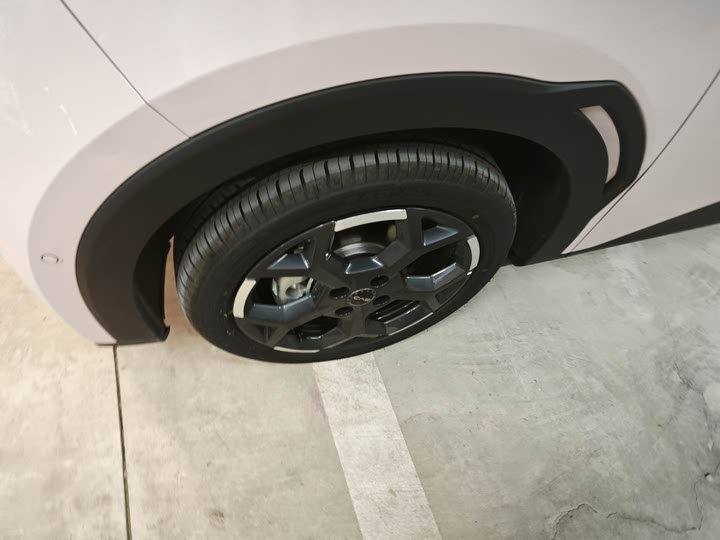 Фото 2 - BYD Seagull