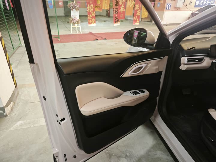 Фото 4 - BYD Seagull