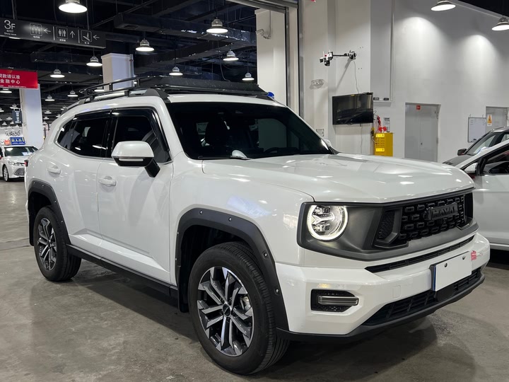 Фото 2 - Haval H-Dog