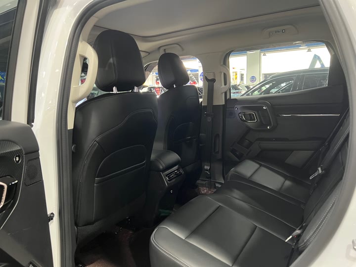 Фото 7 - Haval H-Dog