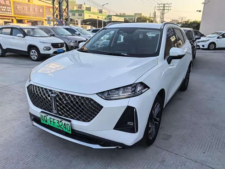 Фото 1 - Wey Macchiato DHT