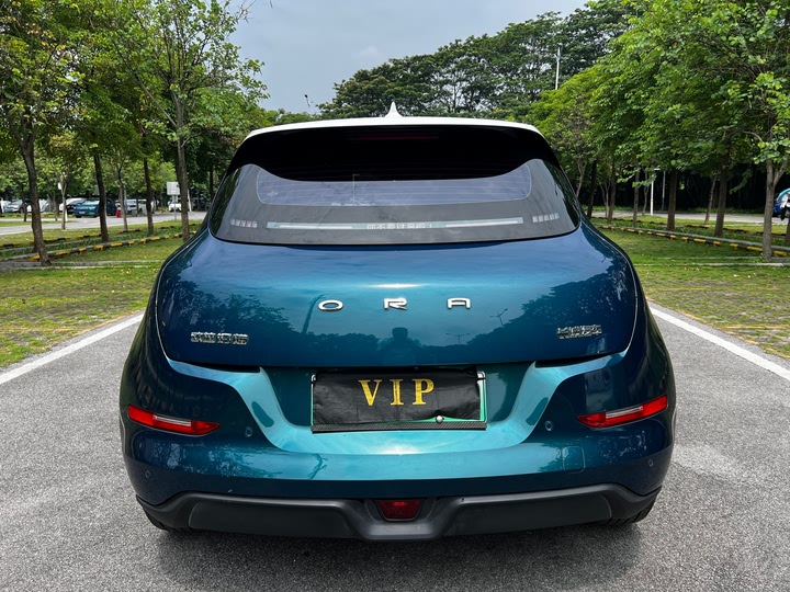 Фото 8 - Ora Good Cat (03)