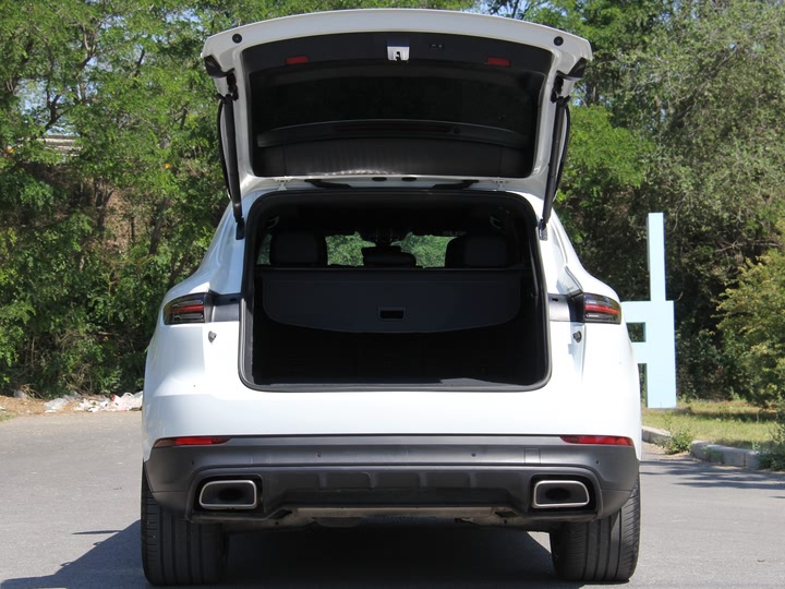 Фото 9 - Porsche Cayenne Hybrid