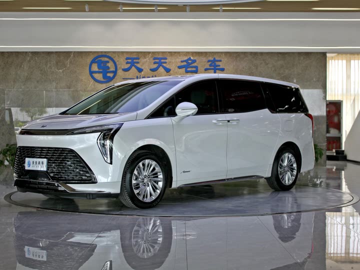 Фото 1 - Buick GL8 Century