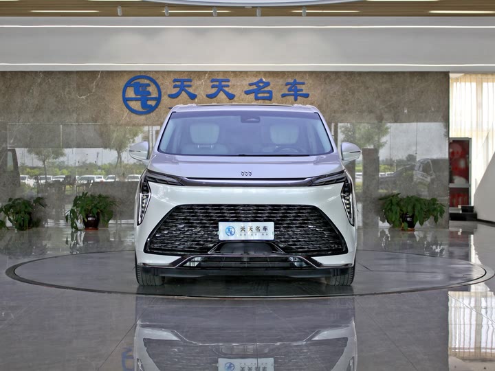 Фото 2 - Buick GL8 Century