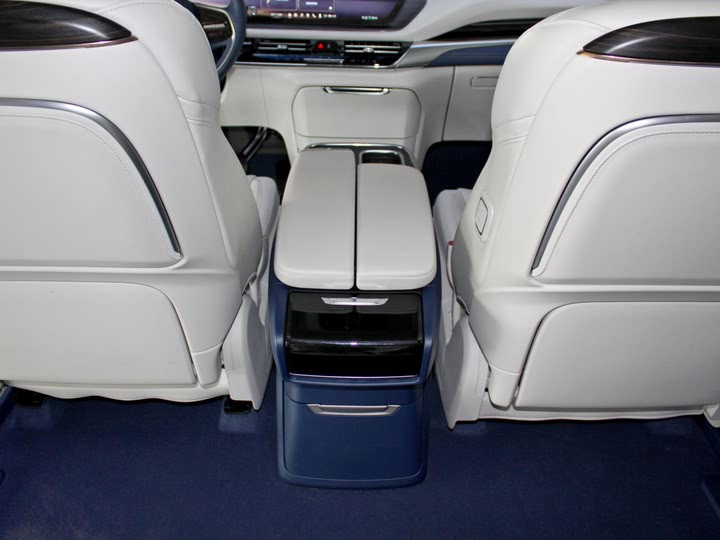 Фото 23 - Buick GL8 Century