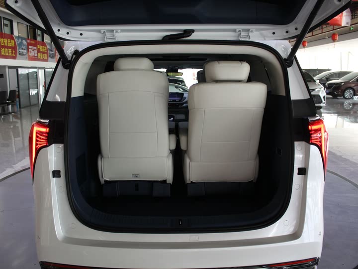 Фото 27 - Buick GL8 Century