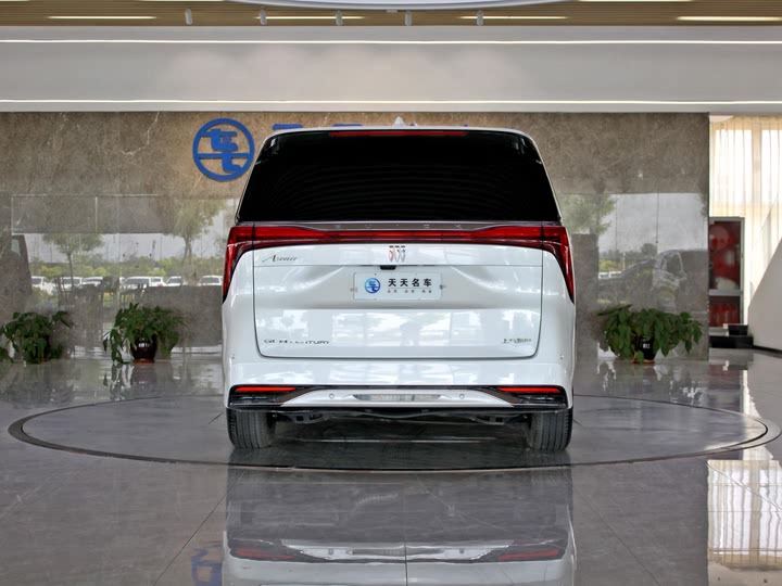 Фото 4 - Buick GL8 Century