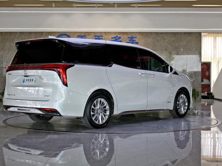 Фото 5 - Buick GL8 Century