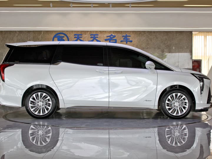 Фото 6 - Buick GL8 Century