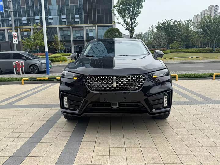 Фото 2 - Wey VV7