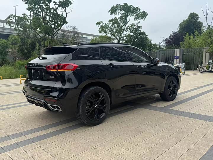 Фото 8 - Wey VV7