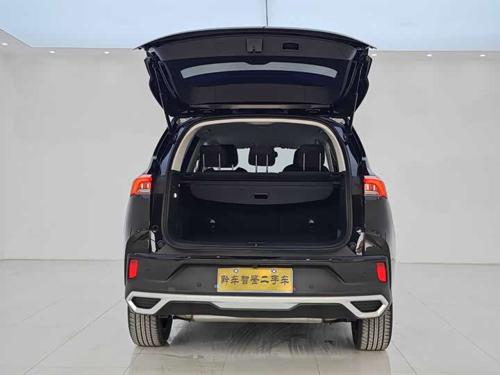 Фото 12 - Maxus D60