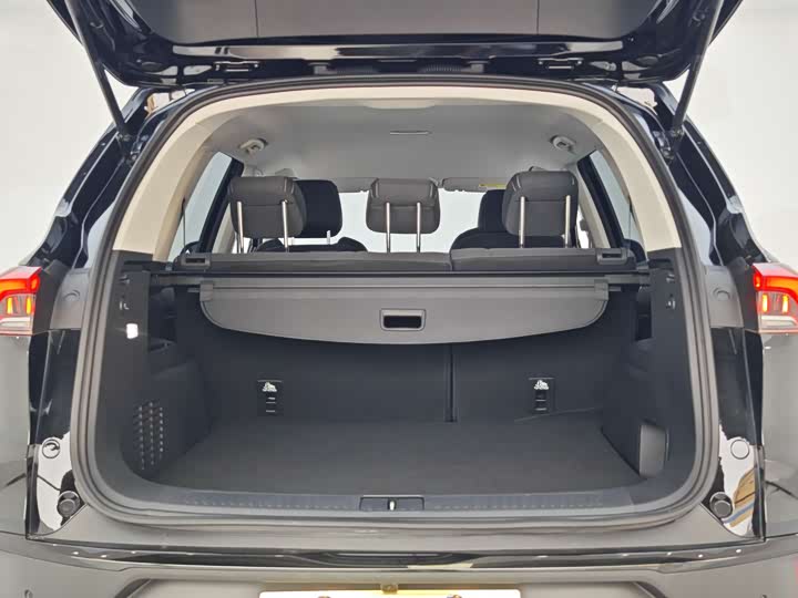 Фото 13 - Maxus D60