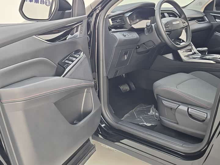 Фото 15 - Maxus D60