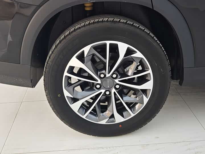 Фото 19 - Maxus D60